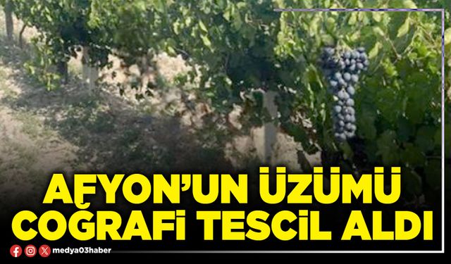 Afyon’un üzümü coğrafi tescil aldı