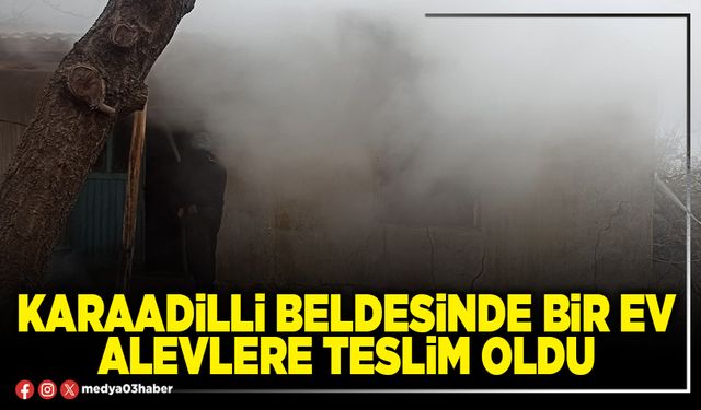 Karaadilli Beldesinde bir ev alevlere teslim oldu