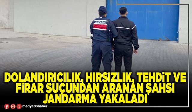 Dolandırıcılık, hırsızlık, tehdit ve firar suçundan aranan şahsı Jandarma yakaladı