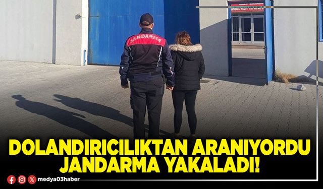 Dolandırıcılıktan aranıyordu Jandarma yakaladı!