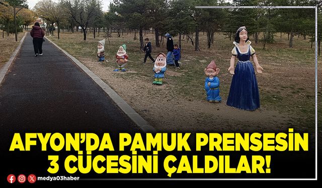 Afyon’da pamuk prensesin 3 cücesini çaldılar!