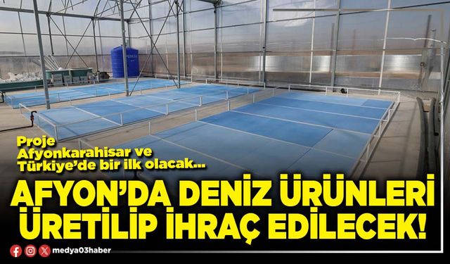 Afyon’da deniz ürünleri üretilip ihraç edilecek!