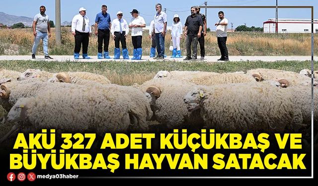 AKÜ 327 adet küçükbaş ve büyükbaş hayvan satacak