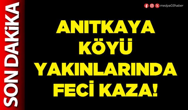 Anıtkaya köyü yakınlarında feci kaza!