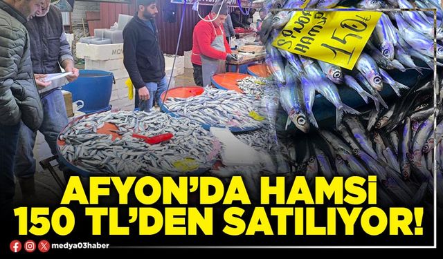 Afyon’da hamsi 150 TL’den satılıyor!