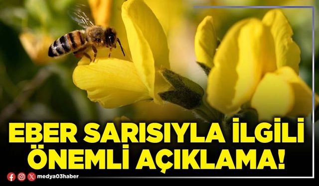 Eber sarısıyla ilgili önemli açıklama!