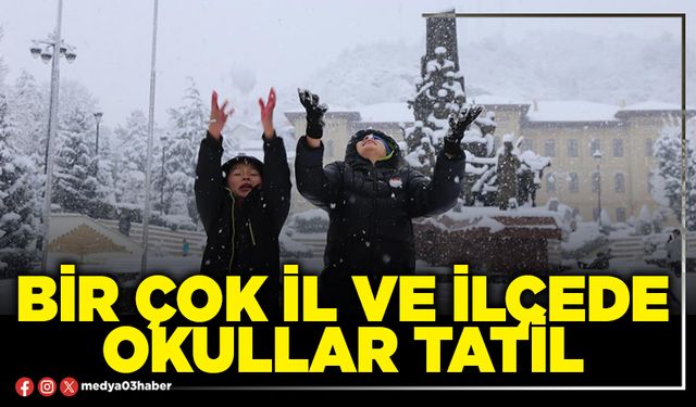 Bir çok il ve ilçede okullar tatil!