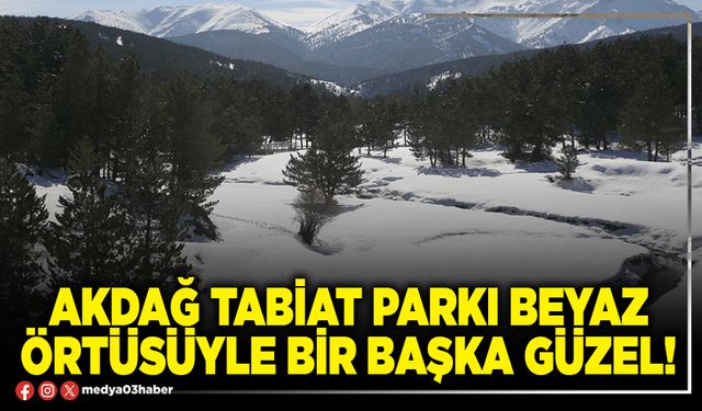 Akdağ Tabiat Parkı beyaz örtüsüyle bir başka güzel!