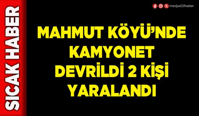 Mahmut Köyü’nde kamyonet devrildi 2 kişi yaralandı