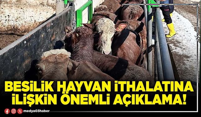 Besilik hayvan ithalatına ilişkin önemli açıklama!