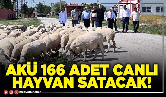 AKÜ 166 adet canlı hayvan satacak!