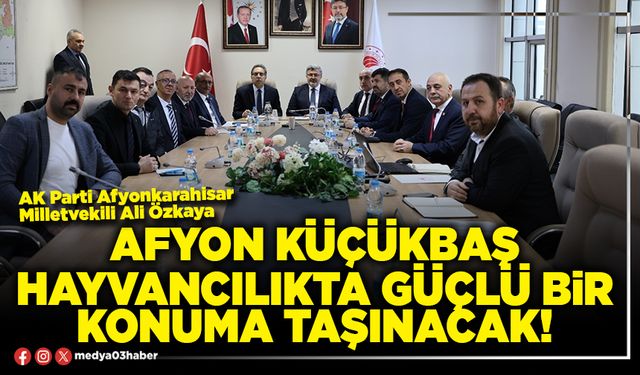 Afyon küçükbaş hayvancılıkta güçlü bir konuma taşınacak!