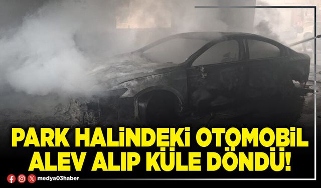 Park halindeki otomobil alev alıp küle döndü!