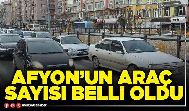 Afyon’un araç sayısı belli oldu