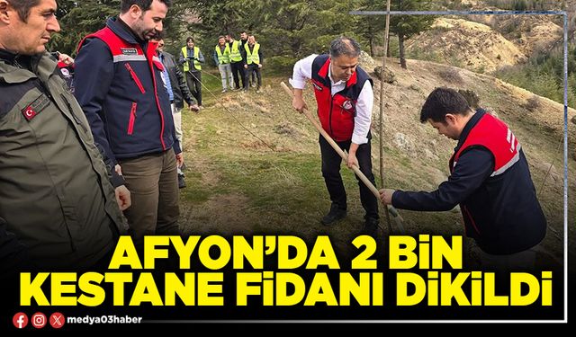 Afyon’da 2 Bin kestane fidanı dikildi