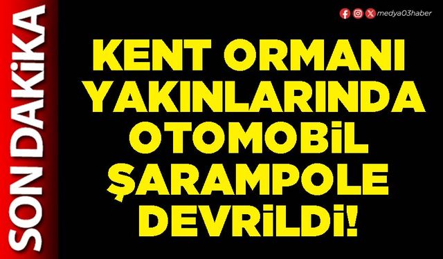 Kent ormanı yakınlarında otomobil şarampole devrildi!