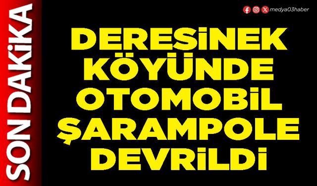 Deresinek Köyünde otomobil şarampole devrildi