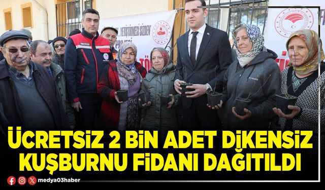 Ücretsiz 2 Bin adet dikensiz kuşburnu fidanı dağıtıldı