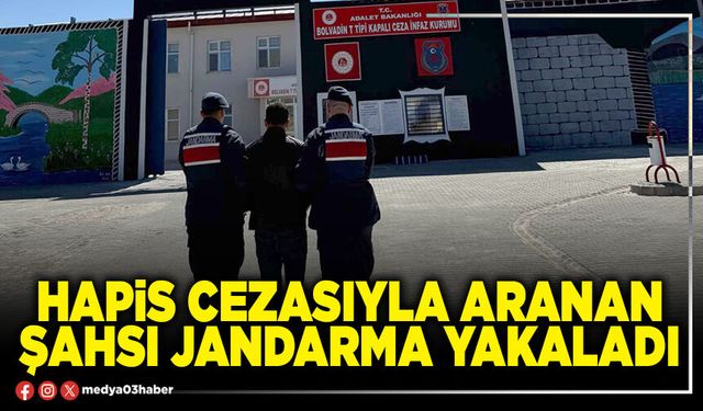 Hapis cezasıyla aranan şahsı jandarma yakaladı