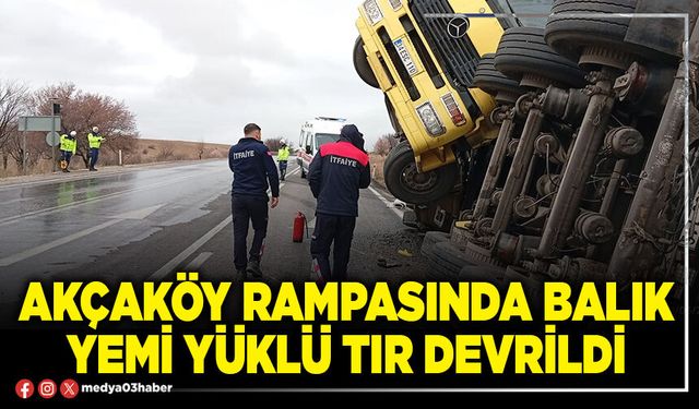 Akçaköy rampasında balık yemi yüklü tır devrildi