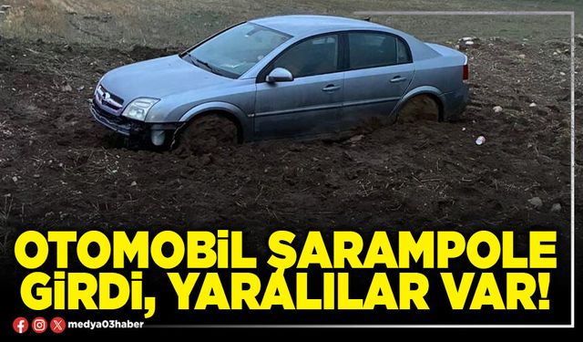 Otomobil şarampole girdi, yaralılar var!