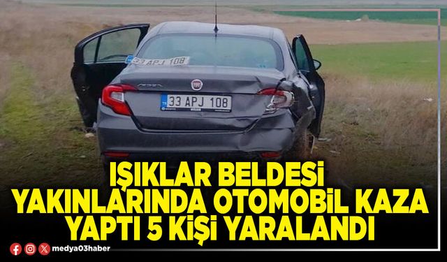 Işıklar Beldesi yakınlarında otomobil kaza yaptı 5 kişi yaralandı