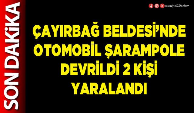 Çayırbağ Beldesi’nde otomobil şarampole devrildi 2 kişi yaralandı