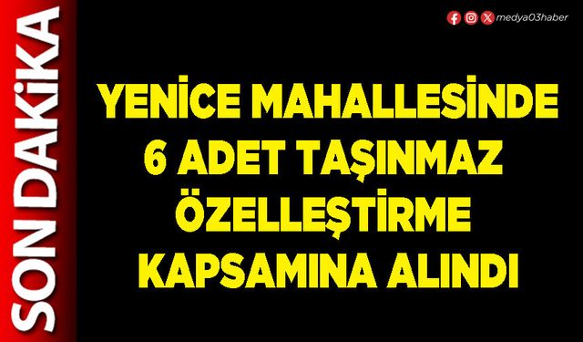 Yenice Mahallesinde 6 Adet taşınmaz özelleştirme kapsamına alındı