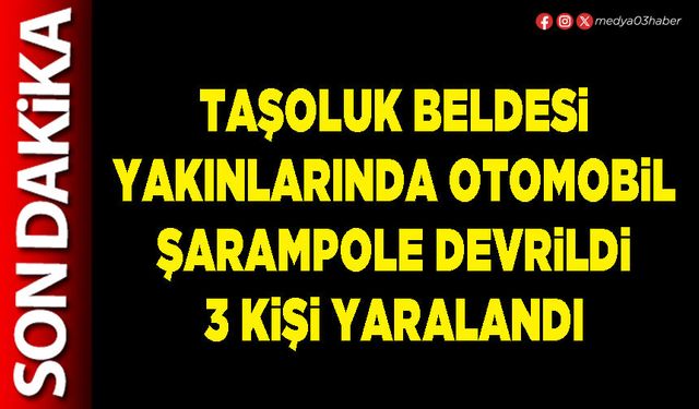 Taşoluk Beldesi yakınlarında otomobil şarampole devrildi