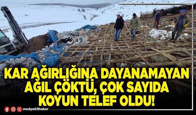 Kar ağırlığına dayanamayan ağıl çöktü, çok sayıda koyun telef oldu!