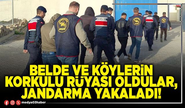 Belde ve köylerin korkulu rüyası oldular, Jandarma yakaladı!