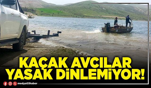 Kaçak avcılar yasak dinlemiyor!