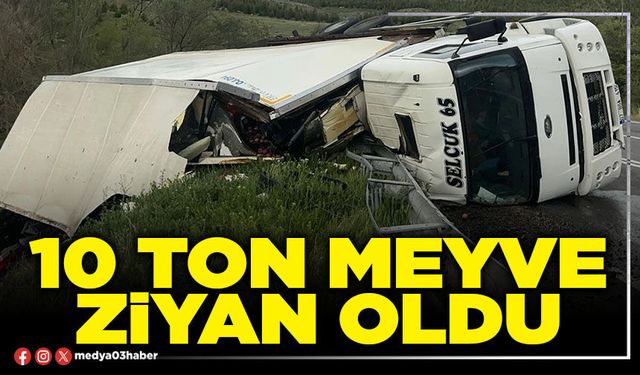 10 ton meyve ziyan oldu