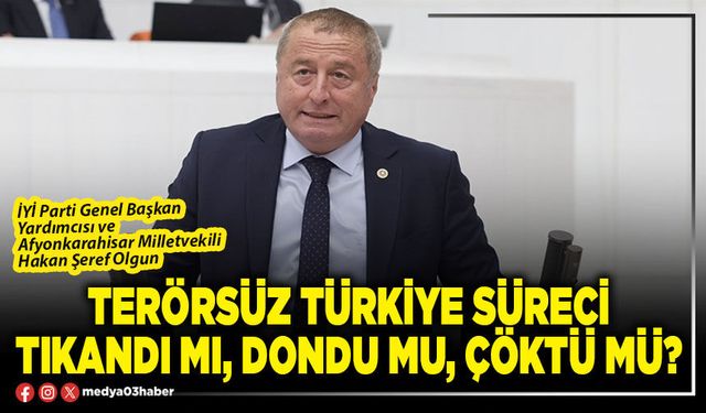 Terörsüz Türkiye süreci tıkandı mı, dondu mu, çöktü mü?