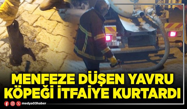 Menfeze düşen yavru köpeği itfaiye kurtardı