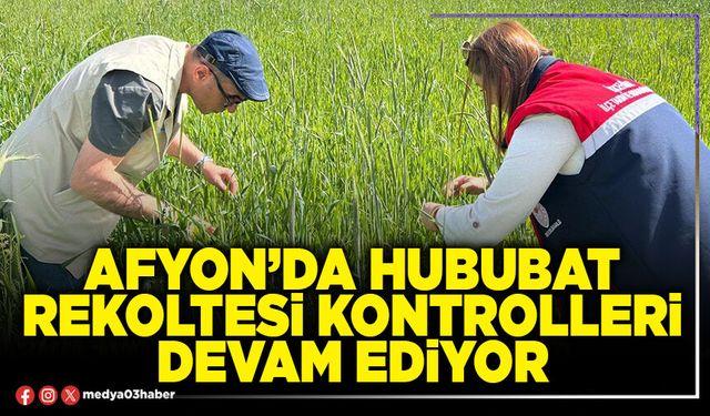 Afyon’da hububat rekoltesi kontrolleri devam ediyor