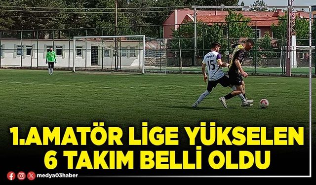 1. Amatör lige yükselen 6 takım belli oldu