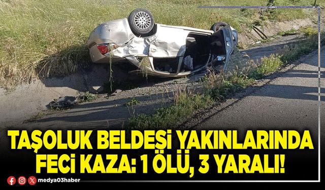 Taşoluk beldesi yakınlarında feci kaza: 1 ölü, 3 yaralı!