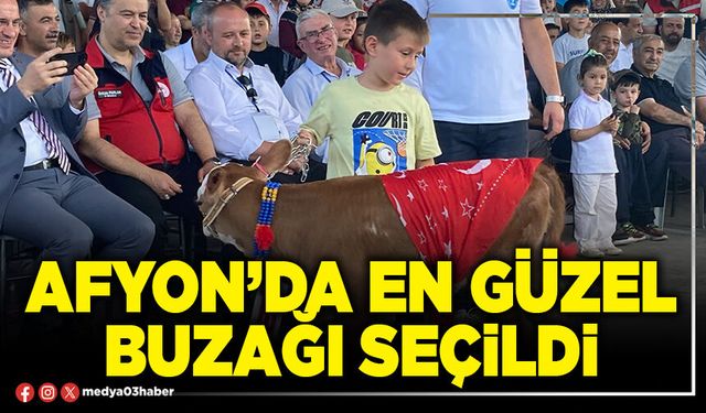Afyon’da en güzel buzağı seçildi