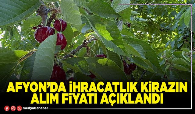 Afyon’da ihracatlık kirazın alım fiyatı açıklandı