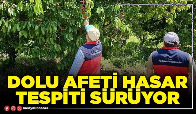Dolu afeti hasar tespiti sürüyor