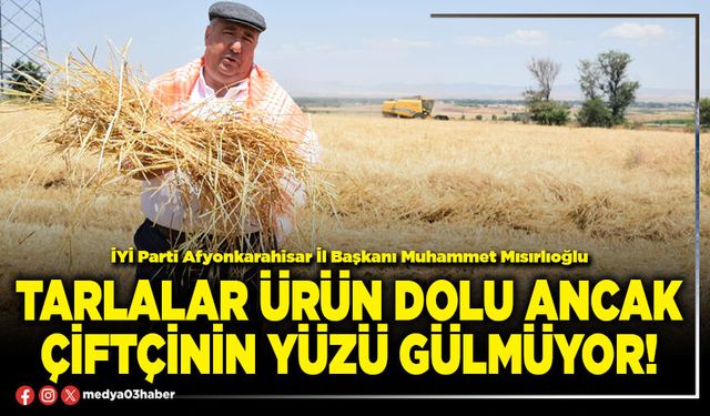 Tarlalar ürün dolu ancak çiftçinin yüzü gülmüyor!