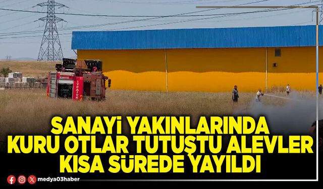 Sanayi yakınlarında kuru otlar tutuştu alevler kısa sürede yayıldı