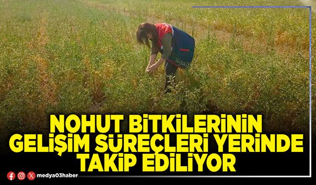 Nohut bitkilerinin gelişim süreçleri yerinde takip ediliyor