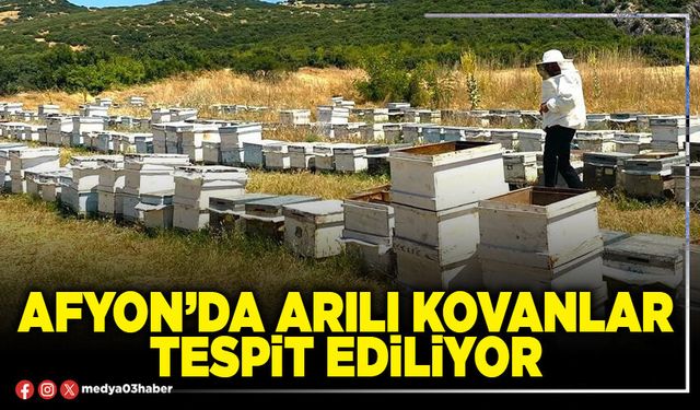 Afyon’da arılı kovanlar tespit ediliyor