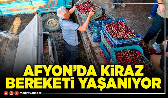 Afyon’da kiraz bereketi yaşanıyor