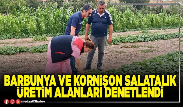 Barbunya ve kornişon salatalık üretim alanları denetlendi