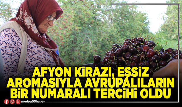 Afyon kirazı, eşsiz aromasıyla Avrupalıların bir numaralı tercihi oldu