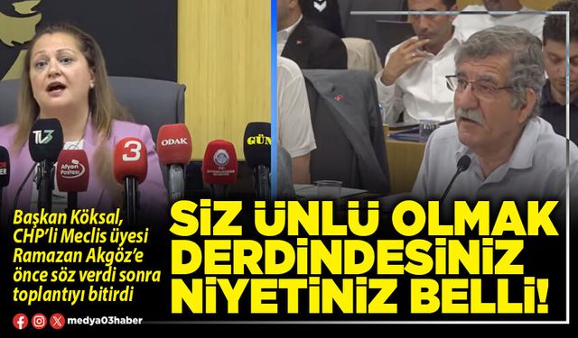 Siz ünlü olmak derdindesiniz niyetiniz belli!