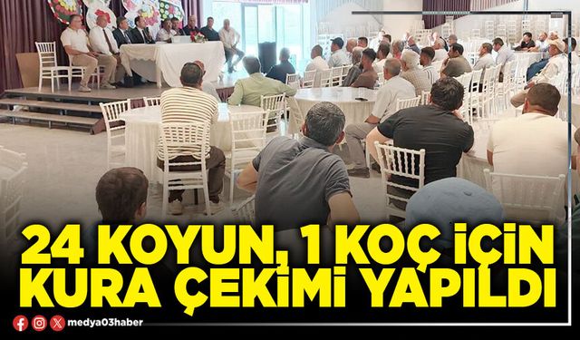 24 koyun, 1 koç için kura çekimi yapıldı